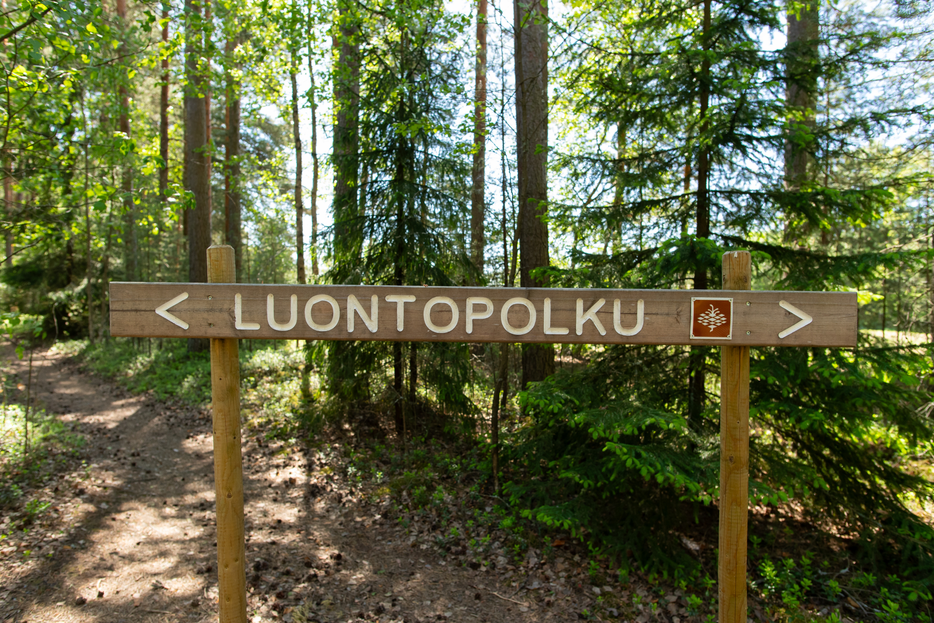 Tapahtuman oletuskuva