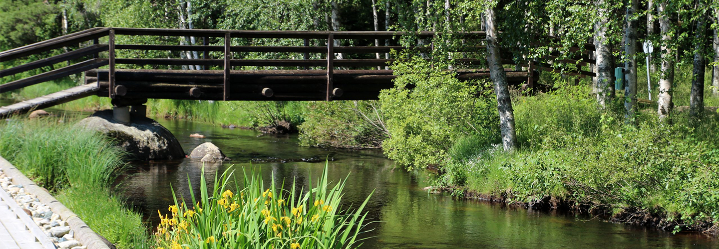Tapahtuman oletuskuva